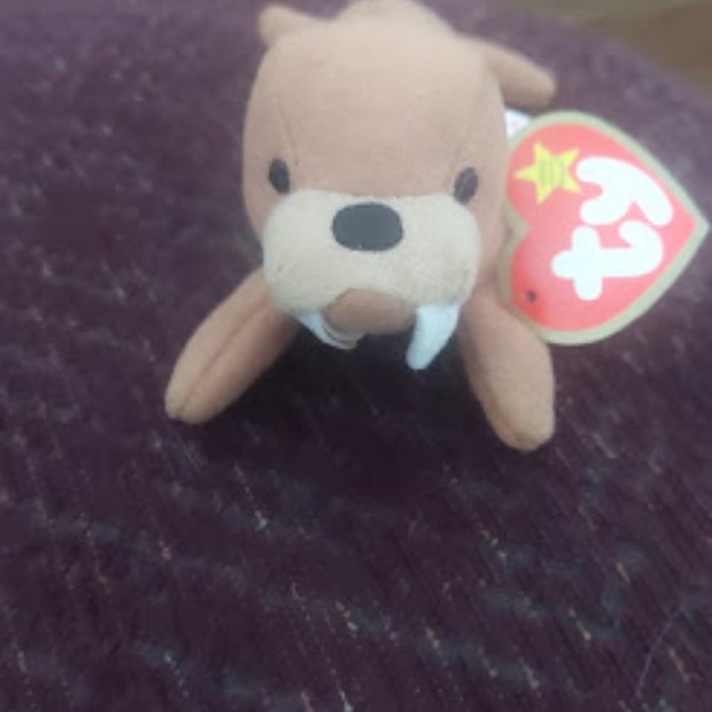Ty 1999 Teenie Beanie Baby. Rare collectible!